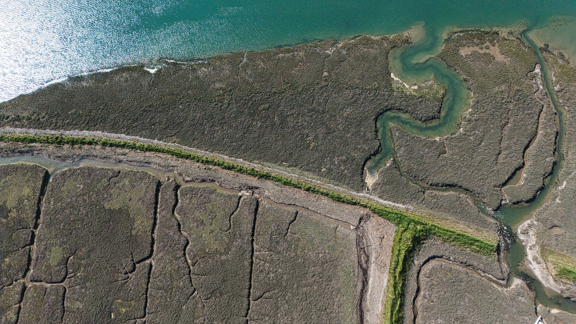 Saltmarsh channels, Taw–Torridge estuary